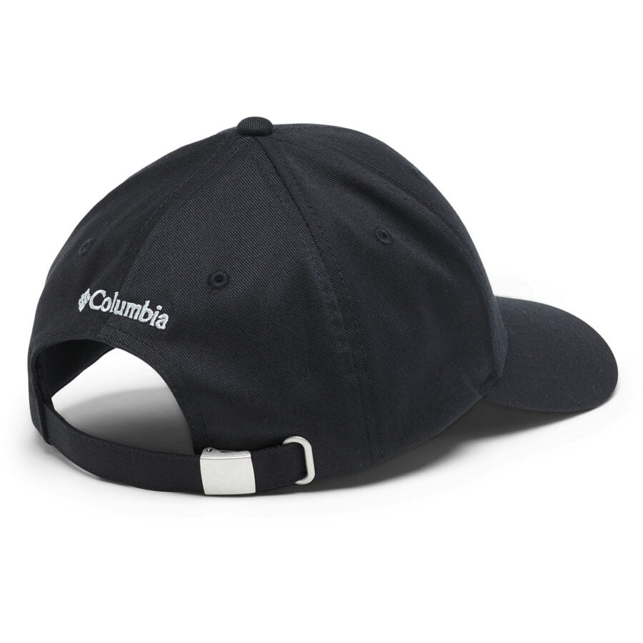 BAXTER FALLS DAD CAP