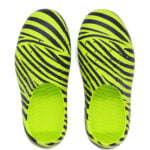 zebra/green/blue