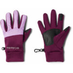 marionberry
