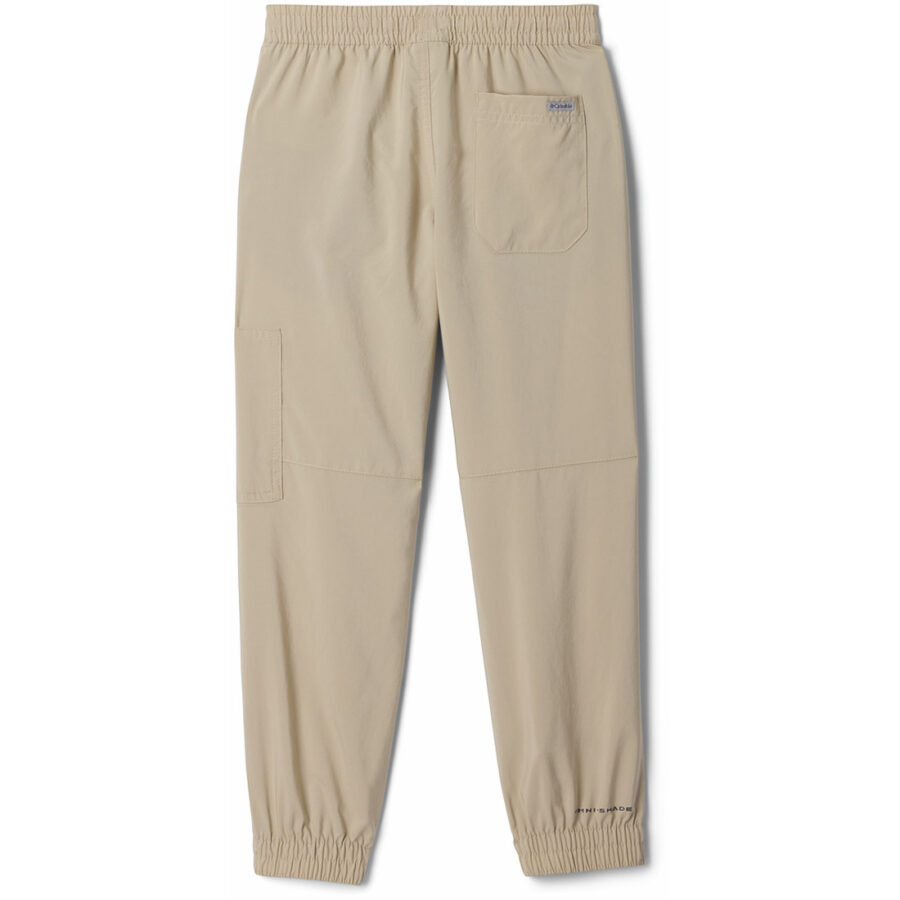 SILVER RIDGE UTILITY CARGO PANT