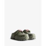 lichen green