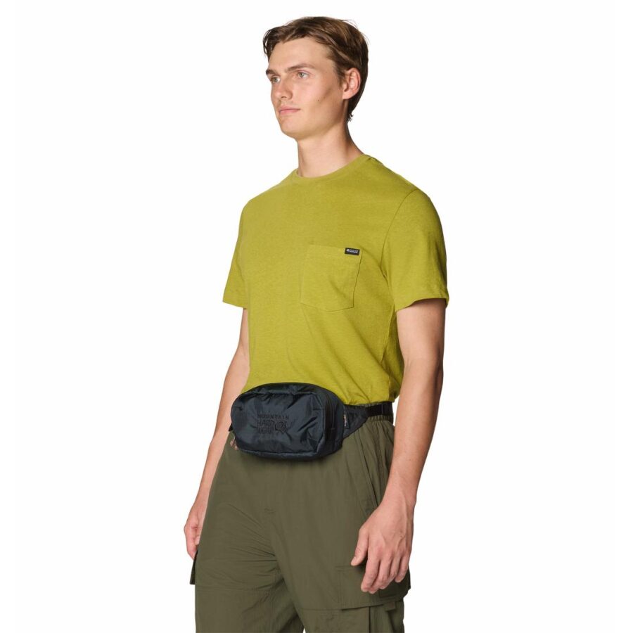 FIELD DAY HIP PACK