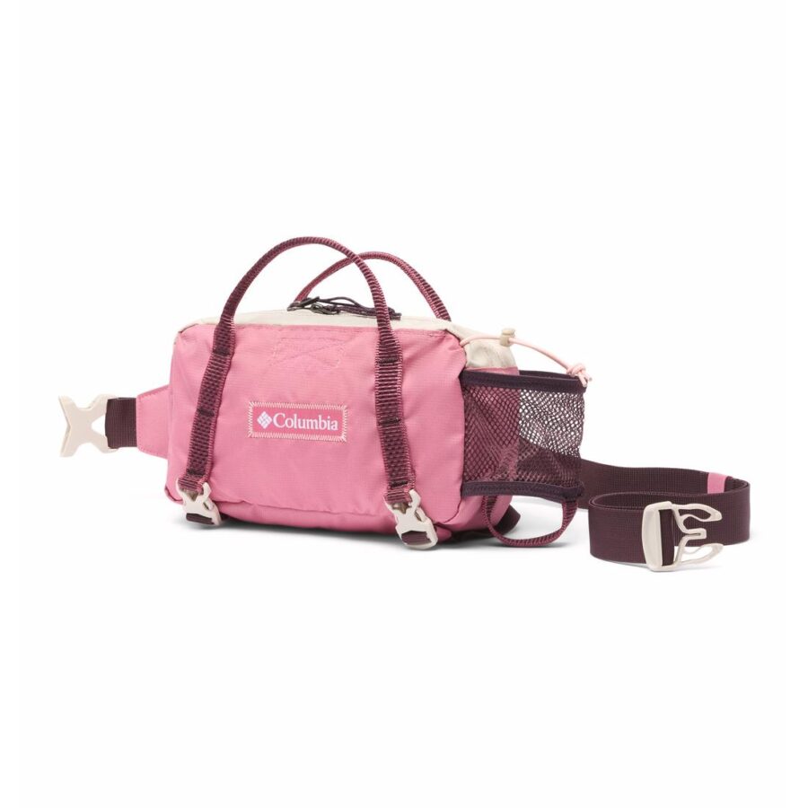 ECHO MOUNTAIN HIP PACK
