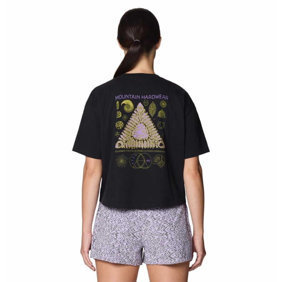 WILD STRUCTURE W BOXY CROP