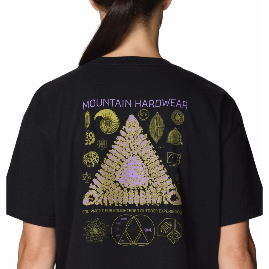 WILD STRUCTURE W BOXY CROP