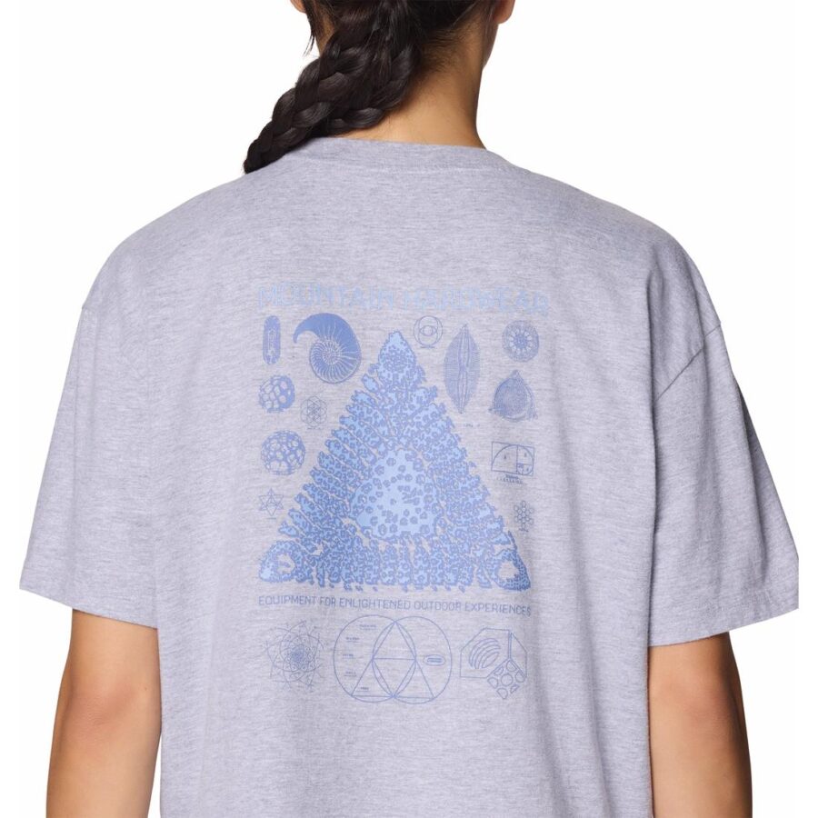 WILD STRUCTURE W BOXY CROP