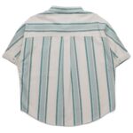 Kavu2247 170 4.jpg