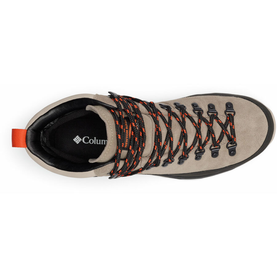 NEWTON ALPINE PT M