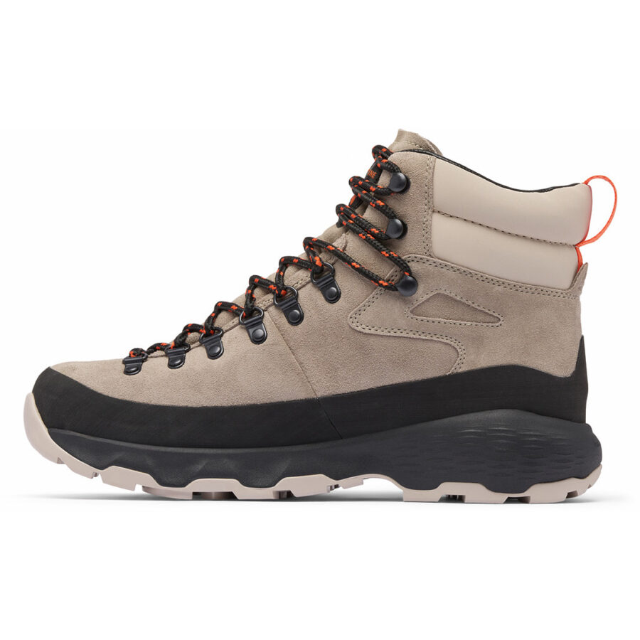NEWTON ALPINE PT M