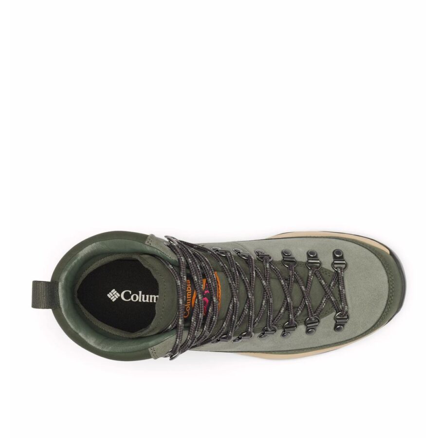NEWTON ALPINE PT M